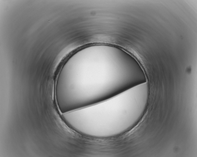 X0000094191123200710260948
