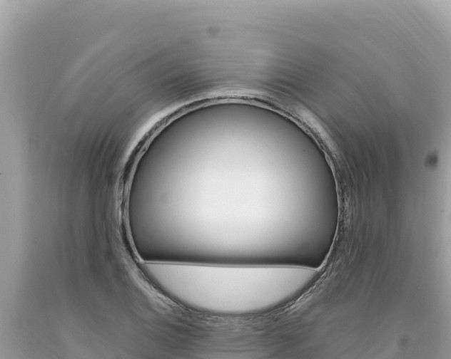 X0000094191124200710260948