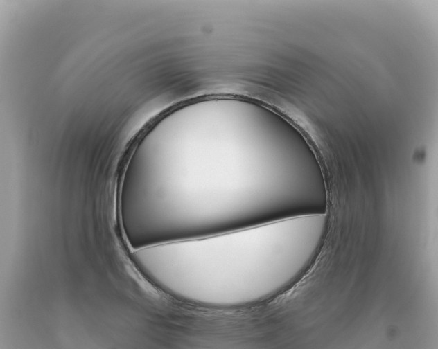 X0000094191127200710260948
