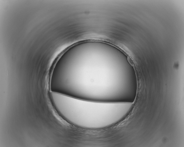 X0000094191128200710260948