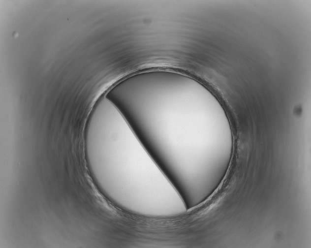 X0000094191129200710260948