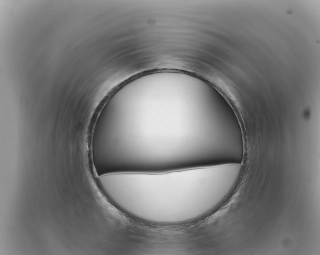 X0000094191133200710260948
