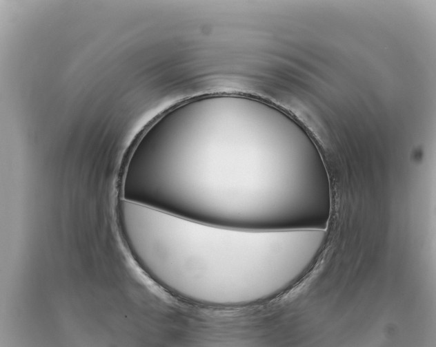 X0000094191134200710260948
