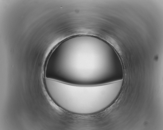 X0000094191136200710260948