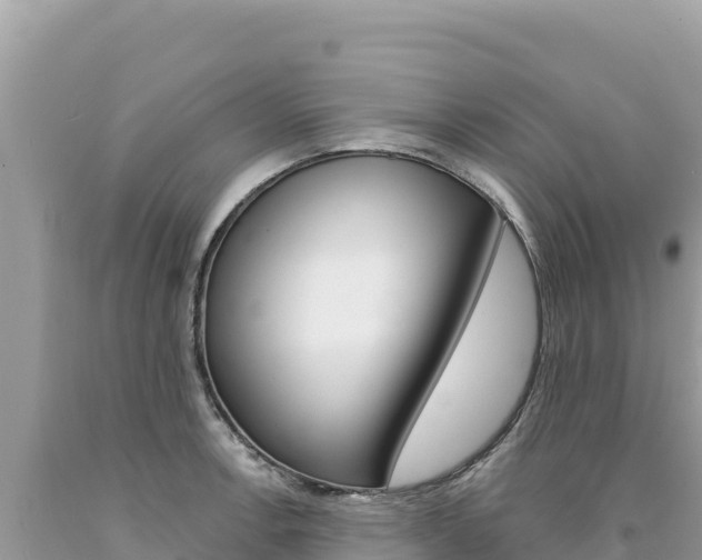 X0000094191138200710260948