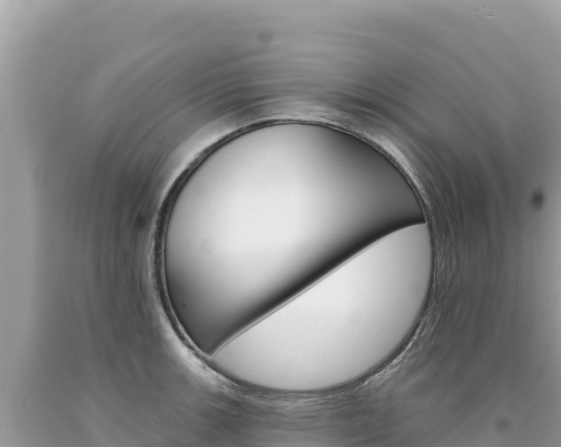 X0000094191139200710260948