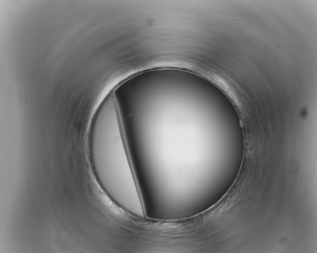X0000094191140200710260948