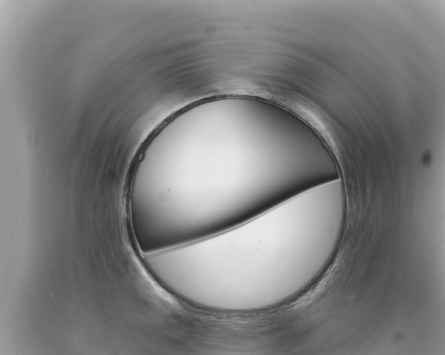 X0000094191141200710260948