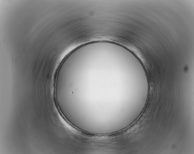 X0000094191143200710260948