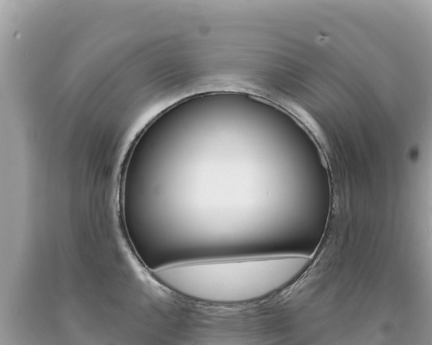 X0000094191144200710260948