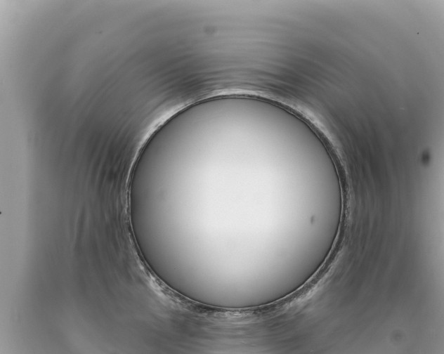 X0000094191145200710260948