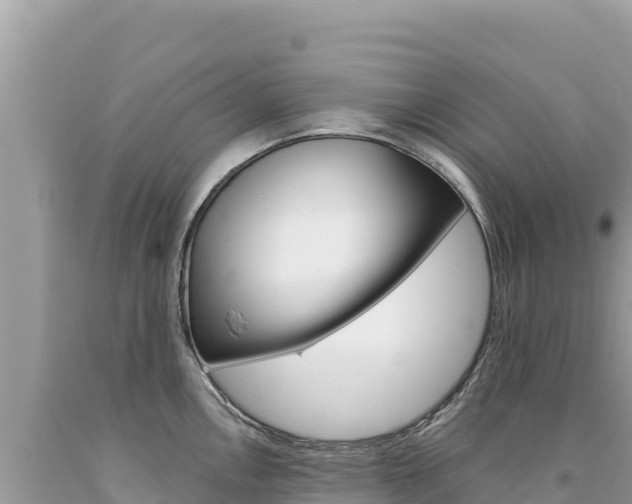 X0000094191146200710260948