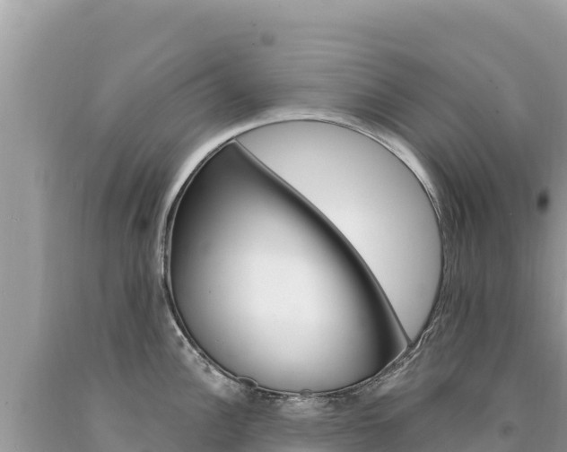 X0000094191148200710260949