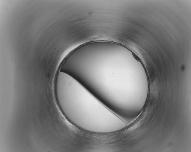 X0000094191149200710260949