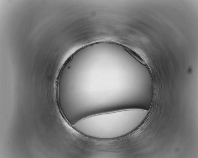 X0000094191151200710260949