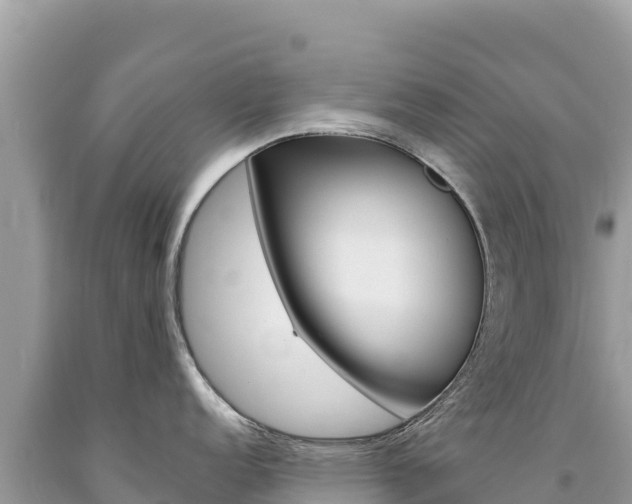 X0000094191152200710260949