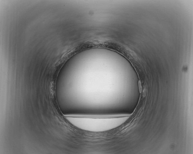 X0000094191156200710260948