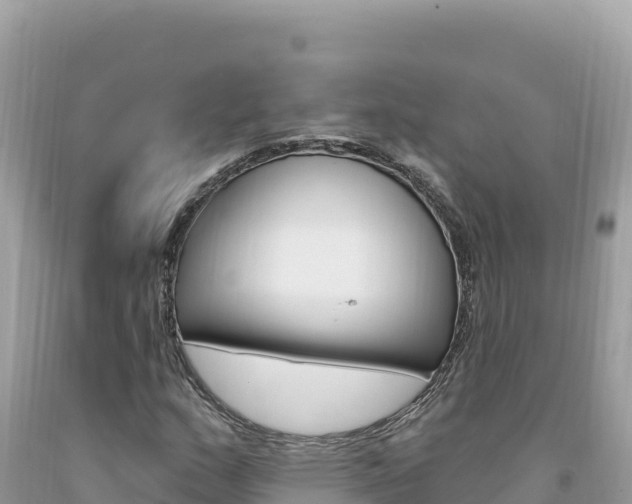 X0000094191159200710260948