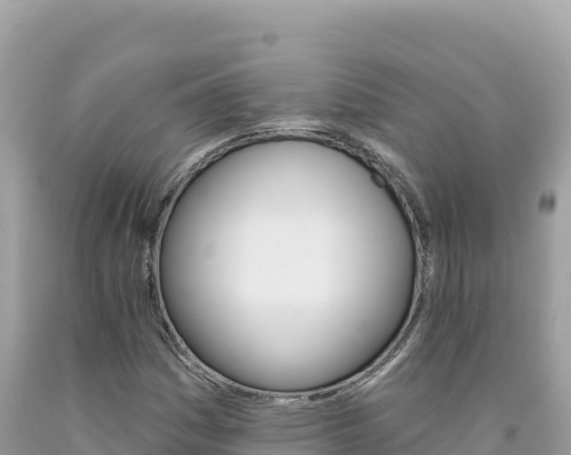 X0000094191161200710260948