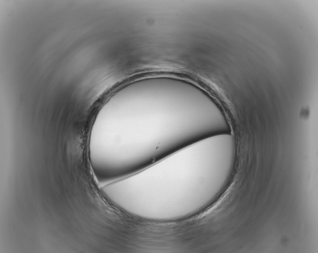 X0000094191163200710260948