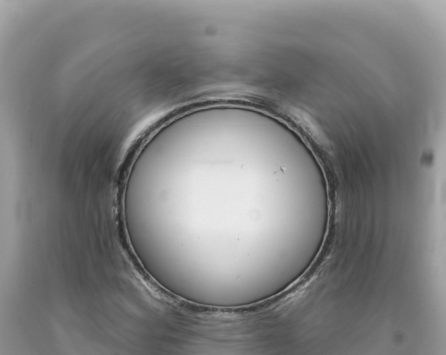 X0000094191164200710260948