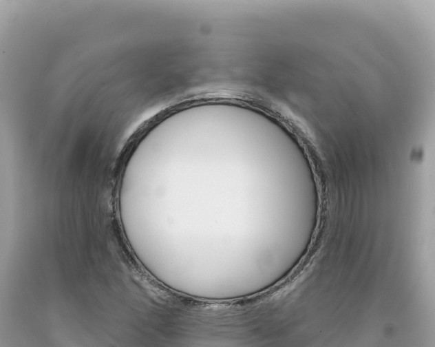 X0000094191166200710260948