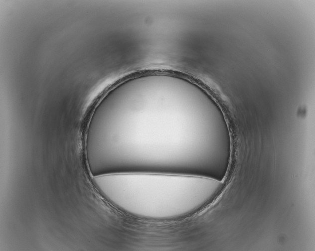 X0000094191167200710260948