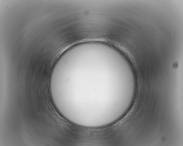 X0000094191169200710260948