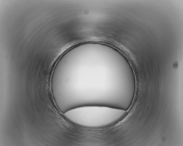 X0000094191170200710260948