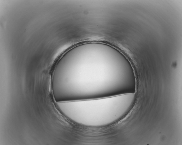 X0000094191171200710260948