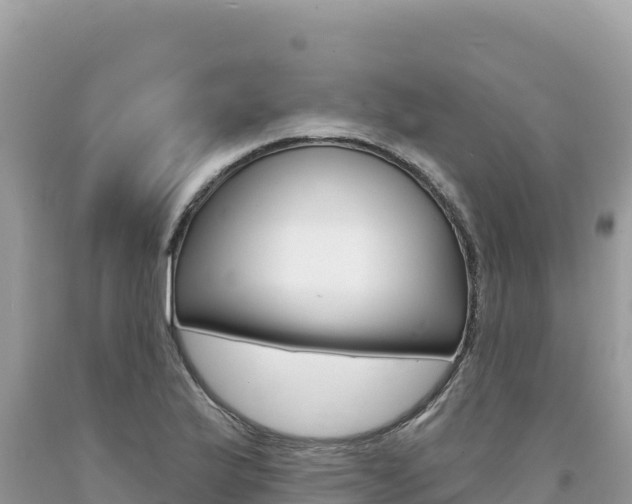 X0000094191175200710260947