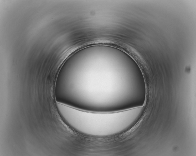 X0000094191177200710260947