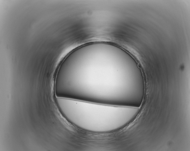 X0000094191179200710260947