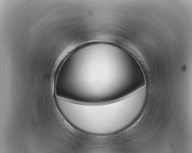 X0000094191180200710260947