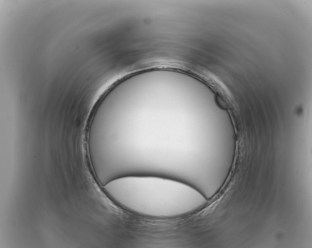 X0000094191182200710260947