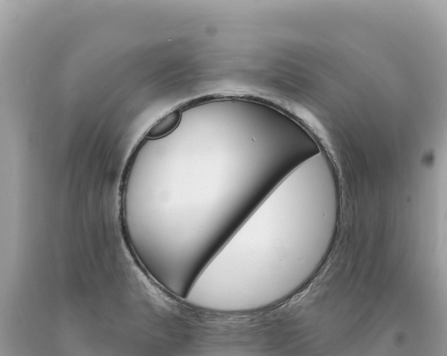 X0000094191183200710260947
