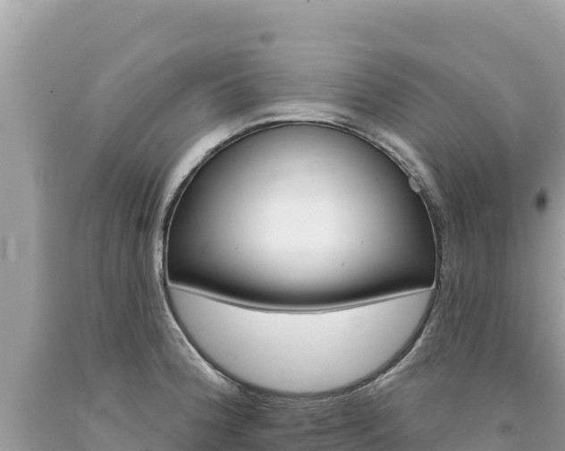 X0000094191188200710260947