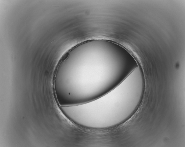 X0000094191189200710260947