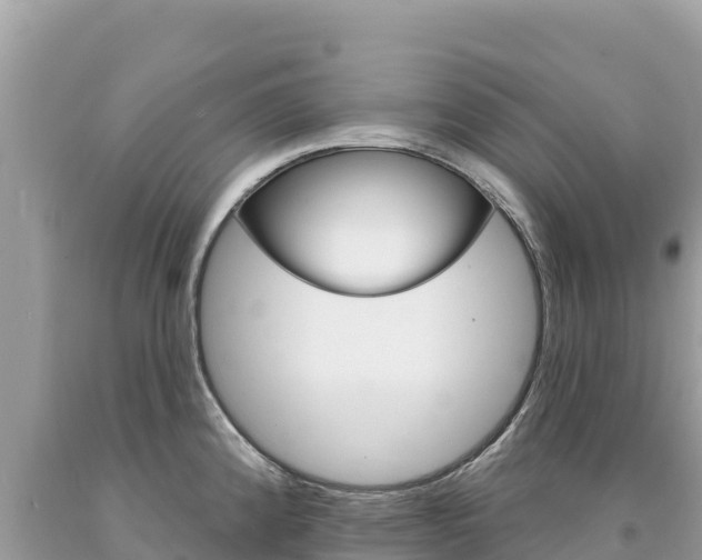 X0000094191192200710260947