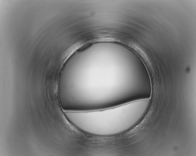 X0000094191193200710260947