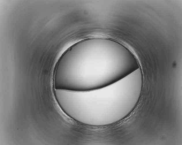 X0000094191195200710260947