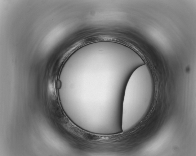 X0000094191198200710260947