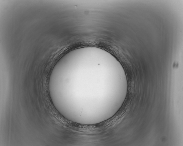 X0000094191201200710260946