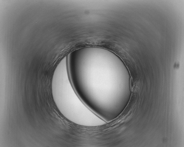 X0000094191202200710260946