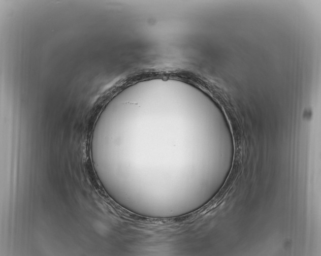 X0000094191205200710260946