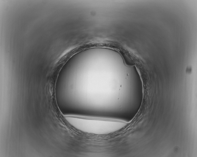 X0000094191206200710260946