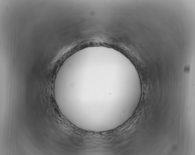 X0000094191207200710260946