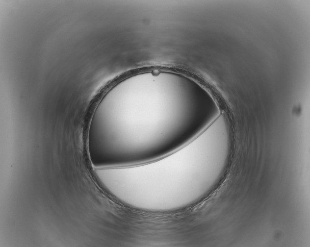 X0000094191214200710260947
