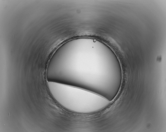 X0000094191217200710260947