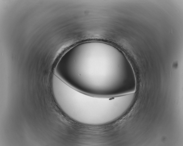 X0000094191218200710260947
